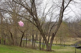 pink balloon day
