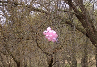 pink balloon day