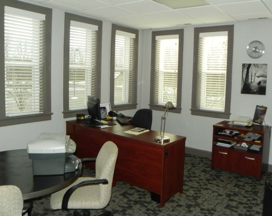 Horizontal 2" Blinds